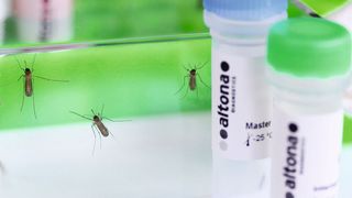 Real-Star-Zika-Virus-RT-PCR-Kit (Bild: www.stoehrmann.com)