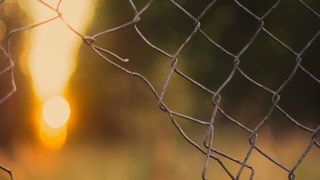 Offenheit ist wichtig, aber wie offen wünschen sich Anwendungsentwicklerinnen und -entwickler Software? (Bild: gemeinfrei)