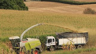 MicroControl_claas_maish_chsler_1 ()