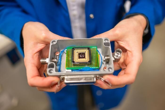 An “electronic nose” created by UC Berkeley researchers can detect the gases emitted by spoiled food and food allergens better than human noses.  (Source: Brandon Sánchez-Mejia/ UC Berkeley)