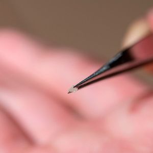 Der Mikro-Roboter ist in etwa so groß wie die kleinste Ameise der Welt und wiegt nur fünf Milligramm. 