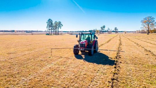 Auf dieser Fläche plant Microsoft eine groß angelegte Initiative zur Wiederaufforstung.(Bild:  AFN)
