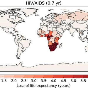 Durchschnittlich verlorene Lebenszeit durch verschiedene Risikofaktoren, bezogen auf das Jahr 2015: HIV/Aids, 0,7 Jahre  © The Author(s) 2020. Published by Oxford University Press on behalf of the European Society of Cardiology , DOI: 10.1093/cvr/cvaa025 (Bild:  Figure 4 /Münzel et al. / CC BY 4.0)