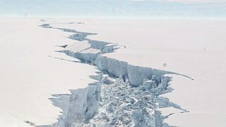 Ausbreitung eines Risses am Eisschelf Larsen C: Dieser Riss führte im vergangenen Jahr zum Abbruch eines Eisbergs mit der doppelten Fläche von Luxemburg – und warf die Frage auf, ob das Eisschelf bei steigenden Temperaturen stabil bleiben wird.  (British Antarctic Survey)