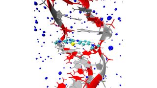 Dem Team um Juan J. Nogueira, Markus Oppel und Leticia González ist es gelungen, den Mechanismus der Singlettsauerstofferzeugung von Methylenblau, eingebettet in den DNA-Strang, aufzuklären. (Bild: Universität Wien)