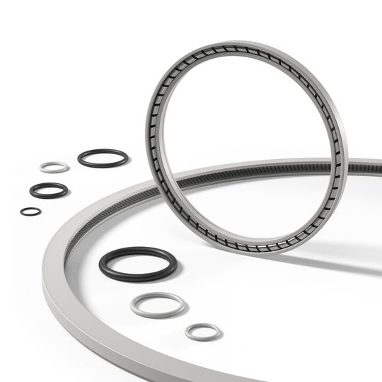 Beispiele für Dichtungslösungen von Parker: Für Anwendungen in der Lebensmittel- und Getränkeindustrie eignen sich unter anderem Flexiseals (federunterstützte PTFE-Dichtungen) und FKM-O-Ringe. (Bild:  Parker Hannifin)