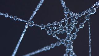 Die Smart Factory braucht ein intelligentes Systems, das sich aus den Fesseln von Komplexität und hohen Kosten befreit. (Bild: gemeinfrei // Pexels)