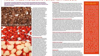 glatt-fa-110-added-value-ingredients-for-better-products-en-nutraceuticalsnow2018-11-2s (Glatt Ingenieurtechnik GmbH)