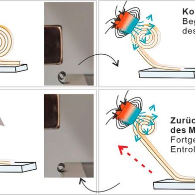 So muss man sich das Funktionsprinzip der keramischen Mikrorolle vorstellen, die per Magnetfeld kontrolliert aufgerollt werden kann. Das winzige Ding entwickelt dabei Kräfte, die zig-Mal dessen eigenes Gewicht tragen können, wie die Forscher aus Stuttgart betonen. (Bild: Universität Stuttgart / IMW)