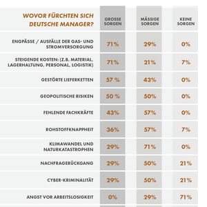 Ranking der größten Sorgen deutscher Manager des Mittelstands(Bild:  Kloepfel Consulting, 2022)