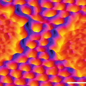 Elektronenmikroskopische Abbildung einer Nanobrücke aus Graphen (Falschfarbendarstellung), rechts und links der Brücke befindet sich jeweils ein Nanoloch. Der Balken misst 0,5 nm.