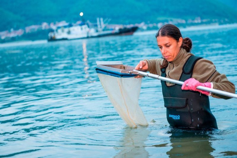 Bei Forschungsexpeditionen wie hier an der Donau werden tausende Proben zusammengetragen und später analysiert. (UFZ/André Künzelmann)