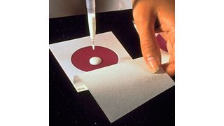 Die Inokulatione eines 3M Petrifilms.  (Bild: 3M)