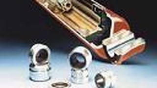 Führungen_vogel.jpg ()