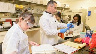 Eine aktuelle Hostinger-Analyse zeigt, dass die Mitarbeiterzufriedenheit in der Chemie- und Pharmabranche teils spürbare Rückgänge verzeichnet. (Bild: frei lizenziert)