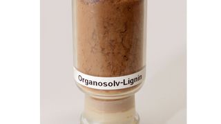 Ein Vorteil des Organosolv-Verfahrens ist, dass alle Holzbestandteile in Reinform gewonnen werden können. (Bild: FNR/Ilka Plötner)