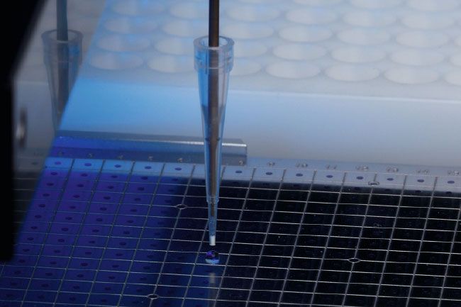 digestpro-brochure-thumb.jpg (CEM GmbH)