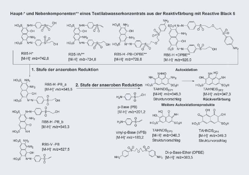 Abb.2: Identifizierte wichtigste Intermediate und Abbauwege von hydrolysiertem
Reactive Black 5, dem Hauptfarbstoff von Navy Blue (Archiv: Vogel Business Media)