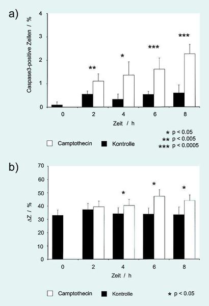4 (a) Anteil apoptotischer Caspase-3-positiver Zellen (max. 2,5 %) in Camptothecin(CTT)-behandelten Melanomasphäroiden nach zwei bis acht Stunden, (b) Impedanzänderung in CTT-behandelten Melanomasphäroiden nach zwei bis acht Stunden. (Archiv: Vogel Business Media)