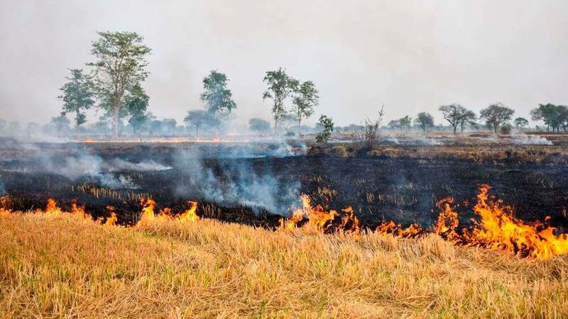 Agricultural waste burnt across large parts of India leads to increased environmental pollution. (Tata Projects )