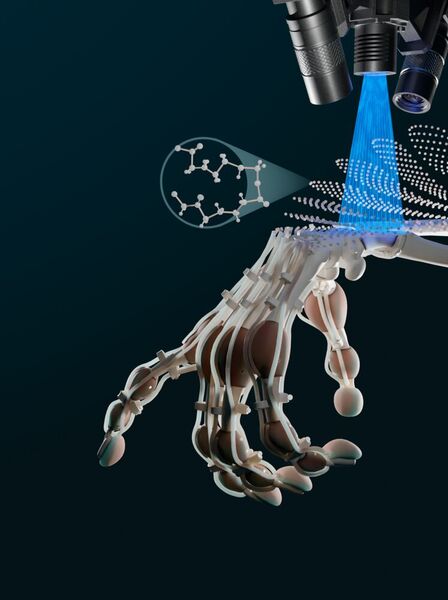 Mit der neuen Technologie gelang es den Forschenden der ETH Zürich erstmals, eine Roboterhand mit Knochen, Bändern und Sehnen aus verschiedenen Polymeren in einem Durchgang zu drucken. (Bild: Moritz_Hocher)