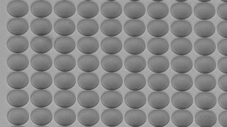Sphärischer Mikrolinsen-Array (Bild: Multiphoton Optics)