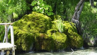 Plitvicer Seen in Kroatien: Nachhaltige Entwicklung bedeutet auch langfristigen Schutz der aquatischen Natur. (Archiv: Vogel Business Media)