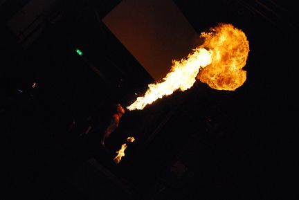 Flammenwerfer Saraph (Archiv: Vogel Business Media)