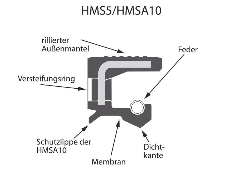 Bild 2: Aufbau der Radialwellen-Dichtringserien HMS5 und HMSA10. (Bild: SKF)
