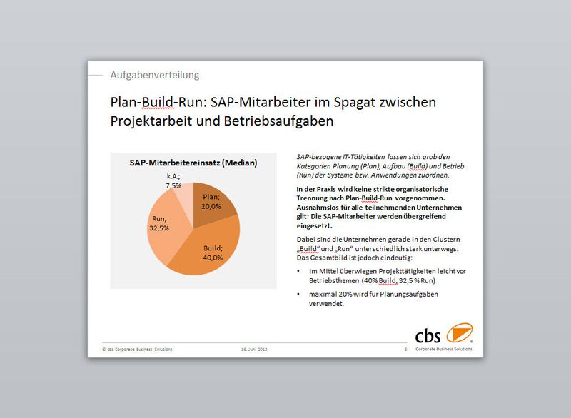 Grafik zur Studie: SAPler sind oft Mädchen für Alles. (Bild: CBS)