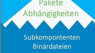 Pakete und Abhängigkeiten sind nur die Spitze der Codebasis, unter der Oberfläche verstecken sich viele weitere Komponenten. (Flexera)