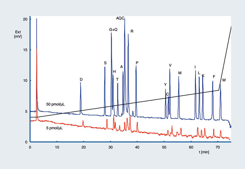 Abb.7: Nachweisgrenze mit Narrowbore-
HPLC-Säule (2 mm ID) und UV-Detektion. Stationäre Phase: GROM Saphir 110 C18,3 µm; Säule: 150 x 2 mm; Eluent A: 50 mM Na-Acetat Puffer pH 5,75; Eluent B: 70% ACN, 30% Na-Acetat pH 6; Gradient: 2% B (0–2,5 min), 2 –30% B (2–70 min),30 –100% B (70–75 min), 100% B (75–80 min); 2% B (80–82 min), 2% B (82–95 min); Fluss (lin. vel.): 1,06 mm/sek; Druck: 20 MPa; Temperatur: RT; Detektion(UV): 254 nm; Flusszelle: 3 µL/2 mm; Injektion: 1 µL; Probe: Aminosäurenstandard mit 5,6 ng/µL(1 µL~50 pmol) und 600 pg/µL (1 µL~5 pmol) (Archiv: Vogel Business Media)