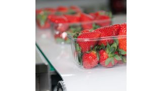 Die Zahnriemen bestehen aus thermoplastischem Polyurethan. Das Material ist beständig gegen Öl, Fett oder chemische Mittel, hydrolysebeständig und verfügt über eine FDA/EU Lebensmittelzulassung. (Bild: Habasit)