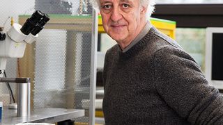 Professor Gerhard Thiel vom Fachbereich Biologie ist an der Studie beteiligt. (Bild: Sandra Junker)