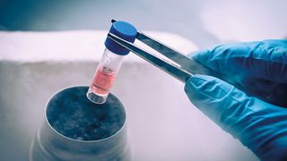 Abb. 1. Biologische Proben sind i. d. R temperaturempfindlich. Bei einem Zellaufschluss ist daher eine Probenkühlung zwingend erforderlich. (Bild: © sola_sola - stock.adobe.com)