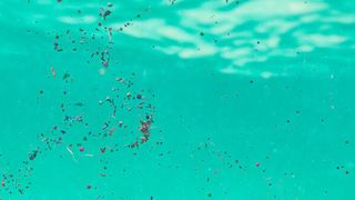 Mikroplastik – kleine Partikel, großes Problem (©dottedyeti - stock.adobe.com)