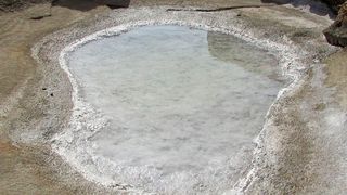 Extremolyte sind Naturstoffe, die aus Mikroorganismen (z.B. Bakterien) stammen, die unter extremen Bedingungen, wie Hitze, Kälte, Dürre oder wie hier im Bild hohen Salzkonzentrationen leben. (gemeinfrei)