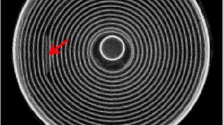 Horizontale Computertomograph-Schnittebene des Lithium-Ionen-Akkus mit Kennzeichnung des Tabbändchens. (Wenzel)