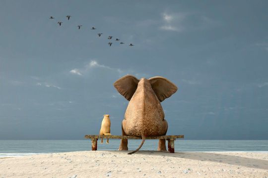 (Bild:  © Photobank - stock.adobe.com)