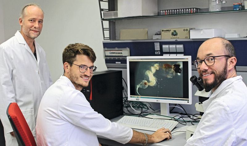 Prof. Dr. Christian Laforsch, Frederic Hüftlein und Dr. Matthias Schott (v.l.) in einem Labor des Lehrstuhls für Tierökologie