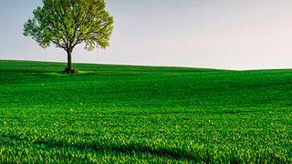 Pure Storage setzt nicht zur am Earth Day 2023 auf das Thema Nachhaltigkeit. (Bild: Łukasz Winiarski)