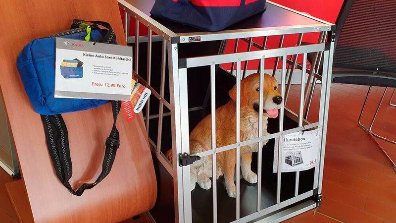 Auch an das passende Zubehör für den Hund ist gedacht. (Bild: Mauritz – kfz-betrieb)