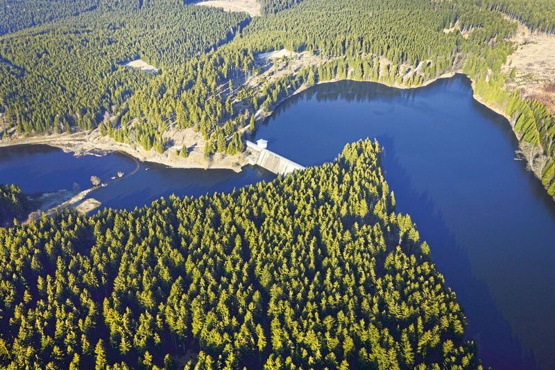 Die Rappbodetalsperre im Harz ist von Wäldern umgeben und die größte Trinkwassertalsperre Deutschlands.