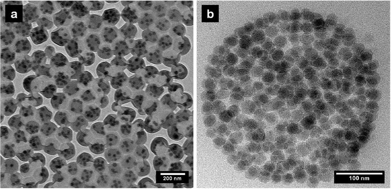 Mit Miniemulsionspolymerisation hergestellte hybride Partikel: a) Kern-Schale-Aufbau mit einheitlicher Größe und gleichmäßigem Füllgrad, b) Schnitt durch ein hybrides Partikel mit einem Füllgrad von 40 Prozent (Bild: Lena Hecht, KIT)