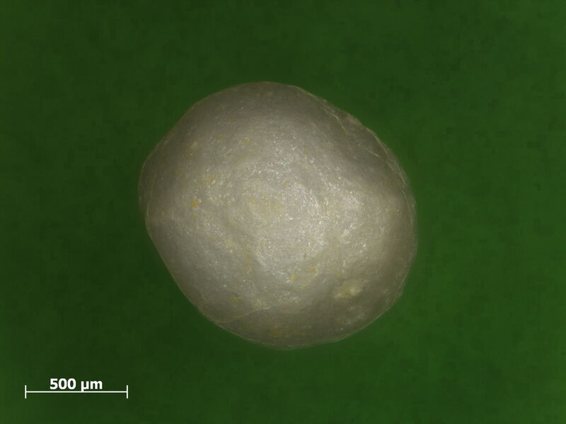 Fig. 2: Microscopic presentation of the particles (Cellet with first coating layer) (Picture: Glatt)