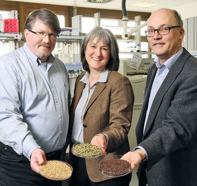Prof. Dr. Roland Ulber, Prof. Dr. Elke Richling und Prof. Dr. Werner R. Thiel (v.l.n.r.), die an der TU Kaiserslautern im Projekt Bioval gemeinsam an der Verwendung von Brauereirückständen forschen. (Bild: TU Kaiserslautern)