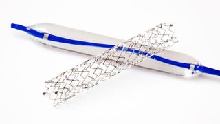 Knapp 10 Millionen Euro fließen in die Forschung an Stents. (Bild: Zarathustra - stock.adobe.com)