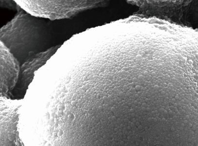 Nanopartikelbeschichtetes Mikropartikel