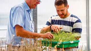Prof. Ivo Feußner lässt sich den Wachstumsstand der Pflanzen von Dmitrij Rekhter zeigen. (Philipp Niemeyer)