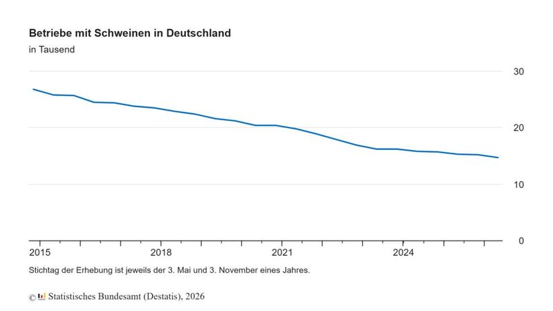 Betriebe mit Schweinen in Deutschland (Bild: Statistisches Bundesamt (Destatis) )